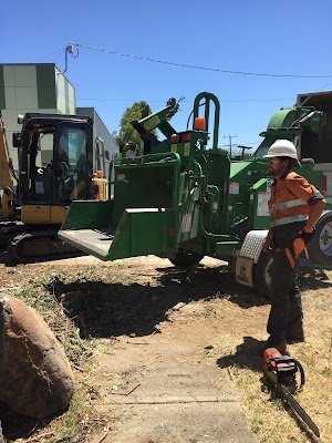 A1 Tree Solutions photo 3