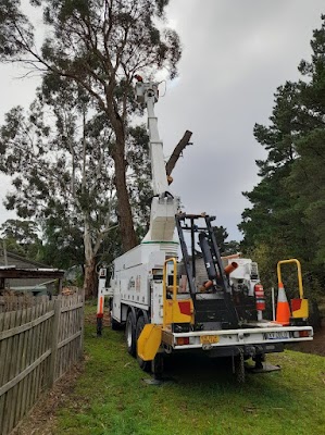 A1 Tree Solutions project 4