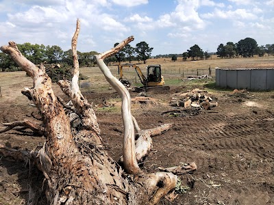 A1 Tree Solutions project 5