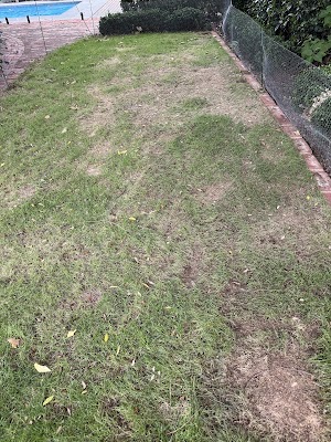 AAA Lawn Services project 5