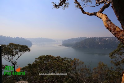 AB1 Termite & Pest Control project 6