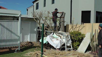 ABC Tree Lopping - All Tree Services| Arborist | Stump Grinding project 6