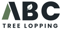 ABC Tree Lopping Brisbane