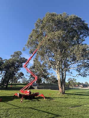 Above All Tree Services photo 2