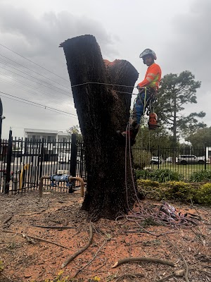 Above All Tree Services photo 3