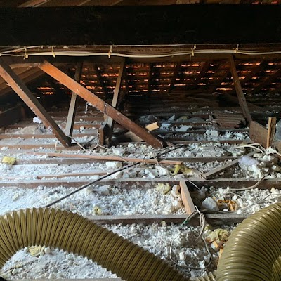 Ace Insulation Removal project 5