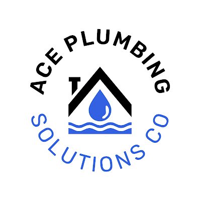 Ace Plumbing Solutions Co project 6