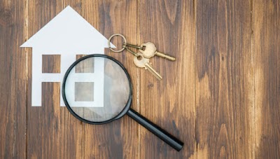 Active Pest Control Management - Pest & Termite Control project 6