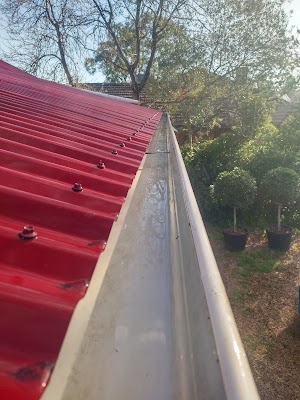 Adelaide Gutter Mesh project 5