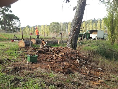 Adelaide Hills Tree & Stump Removal Pty Ltd project 4