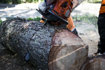 Adelaide Hills Tree & Stump Removal Pty Ltd project 5