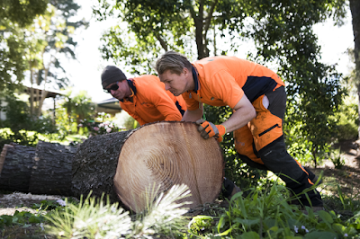 Adelaide Hills Tree & Stump Removal Pty Ltd