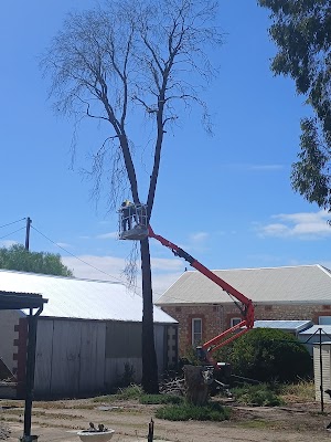 Affordable Tree Solutions