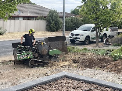 Affordable Tree & Stump Services work 2