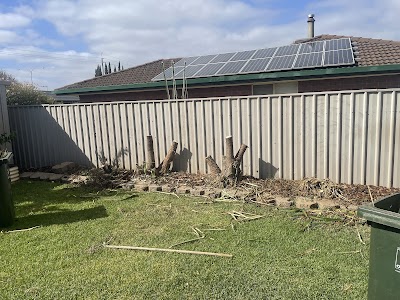 Affordable Tree & Stump Services work 4