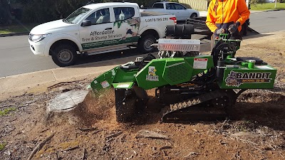 Affordable Tree & Stump Services project 5