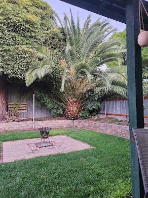 Affordable Tree & Stump Services project 6