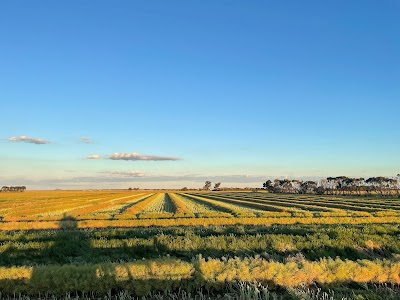 AGCON Fencing project 6