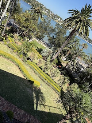 ALEX TREE LOPPING photo 2