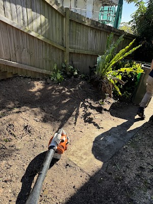 ALEX TREE LOPPING project 6