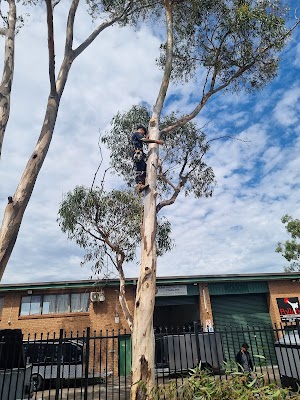 All Around Trees Services - AATS photo 2