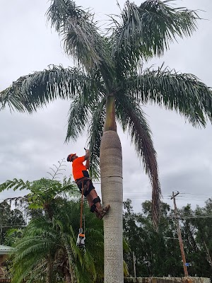 All Around Trees Services - AATS project 4