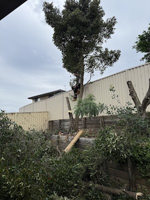 All Around Trees Services - AATS project 5