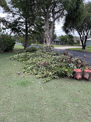 All Around Trees Services - AATS project 6