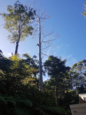 All Around Trees Services - AATS