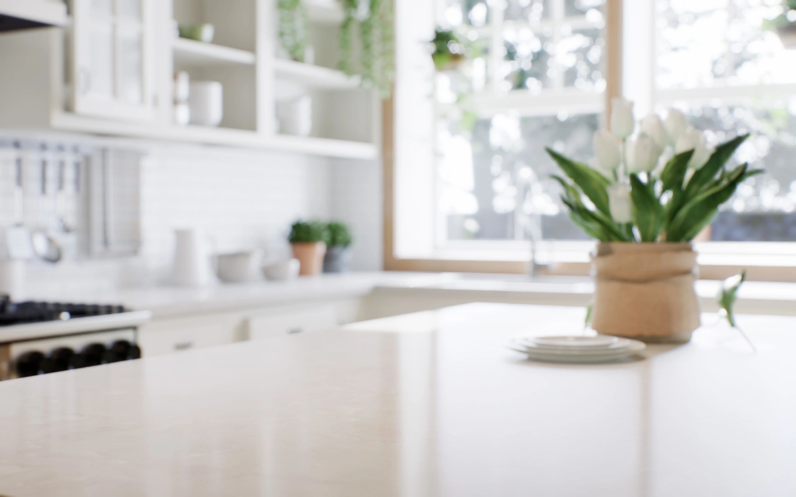 All Cleans Central Coast