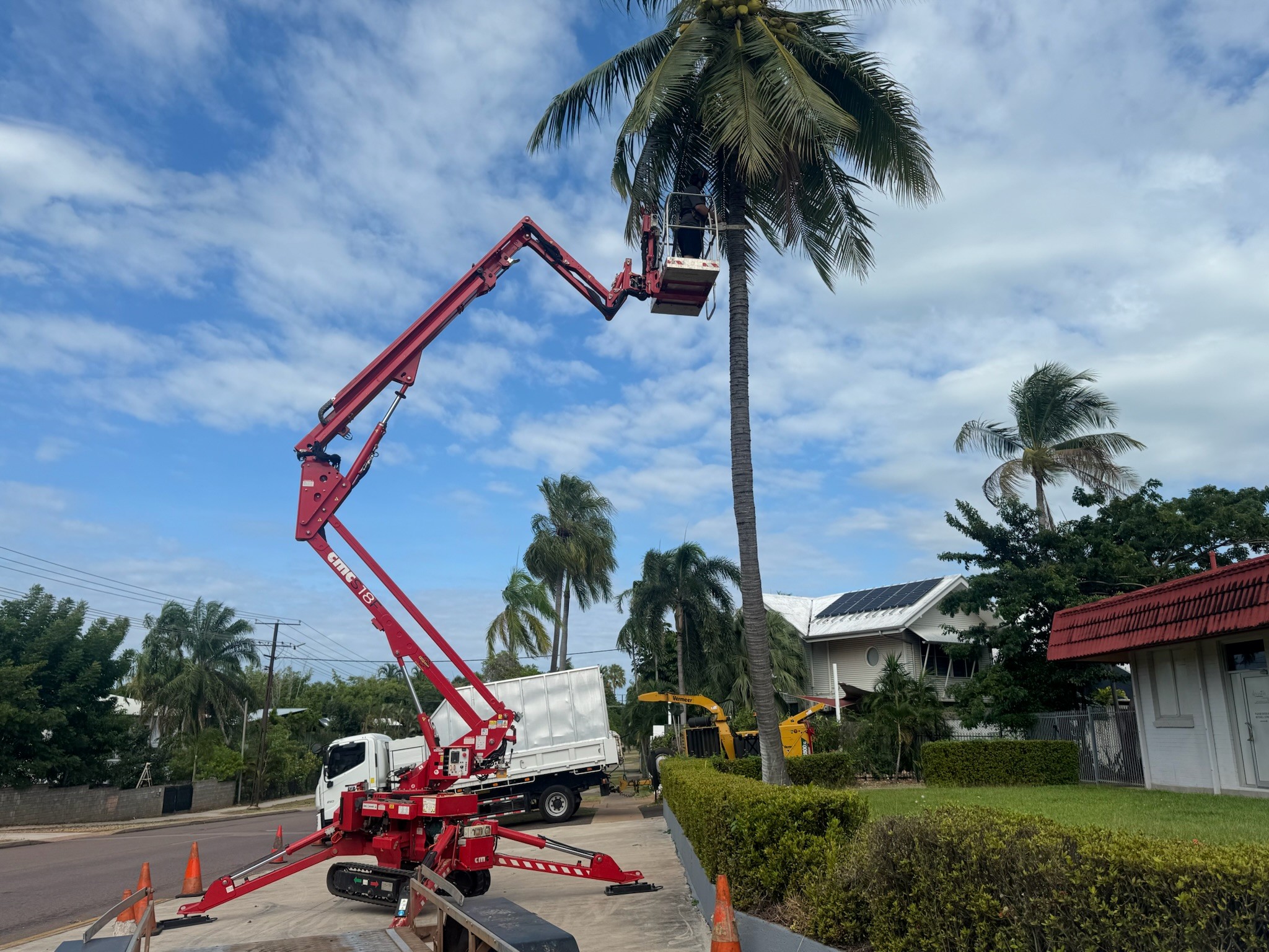 All Season Group - Tree Services