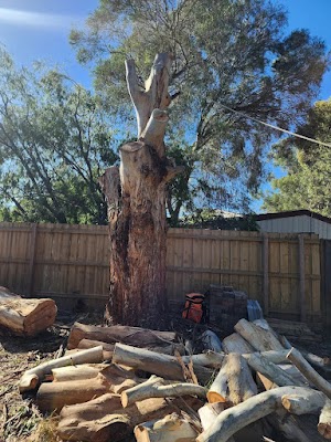 All Tree Pros Removal Services Sydney photo 3
