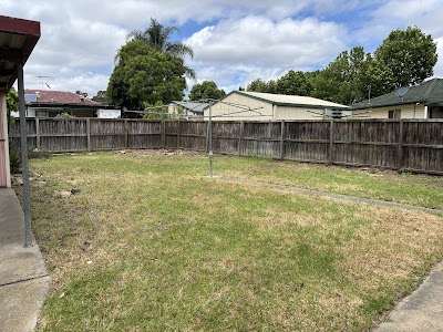 All Tree Pros Removal Services Sydney project 6