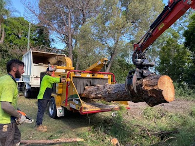 All Tree Pros Removal Services Sydney