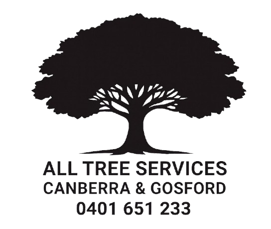 All tree services Canberra and Gosford