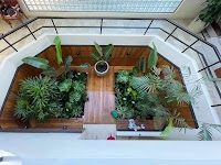 Amico - Landscape Gardeners – Dover Heights, Woollahra, Darling Point