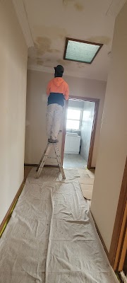 Anpu Painting Service work 3