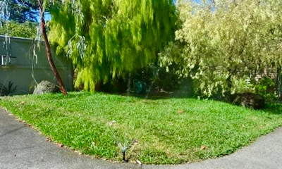 Aquarius Sprinkler Solutions project 5