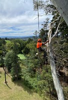 Arbor Solutions Professional Tree Service
