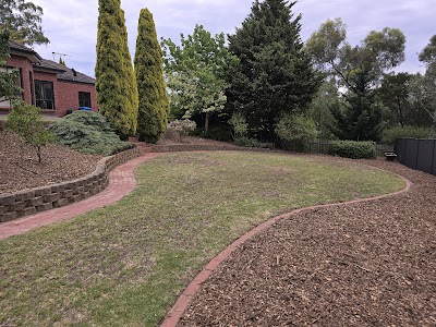 Arborcare Tree Contractors work 3