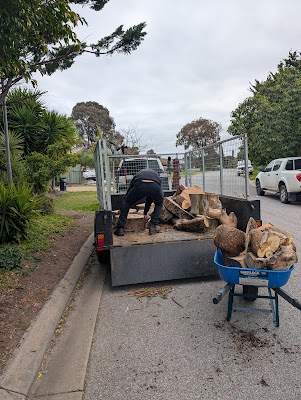 Arborcare Tree Contractors project 5
