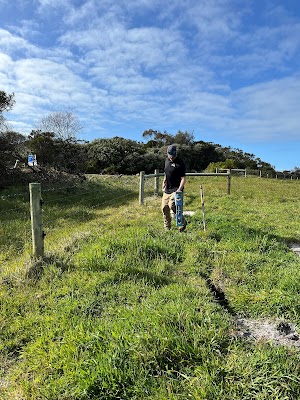 Arcadia Solutions project 4