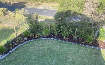 Arcadia Solutions project 6