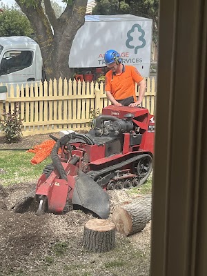 Armitage Tree Services photo 2