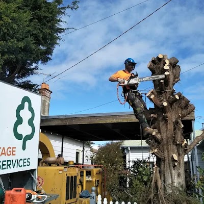 Armitage Tree Services project 4
