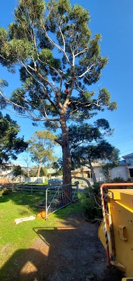 Armitage Tree Services project 6