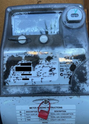 Armor Pest Control project 4