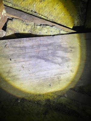 Armor Pest Control project 6