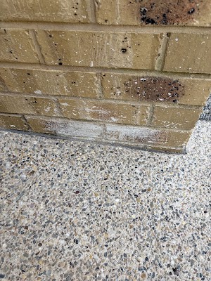 AS concreting bendigo project 6