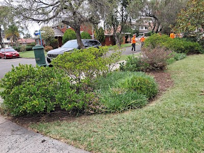 ASET Tree Removal & Garden Rejuvenation photo 3